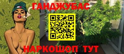 ешки Камышлов
