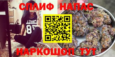 спиды Кандалакша