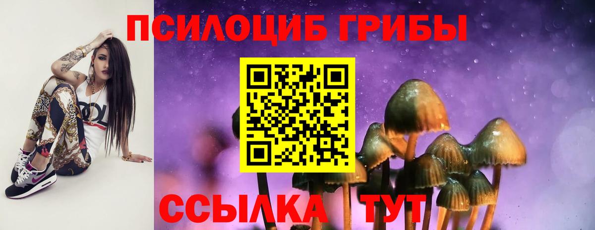 Галлюциногенные грибы Psilocybe  Вход с VPN  Кувандык  Псилоцибиновые грибы мицелий 